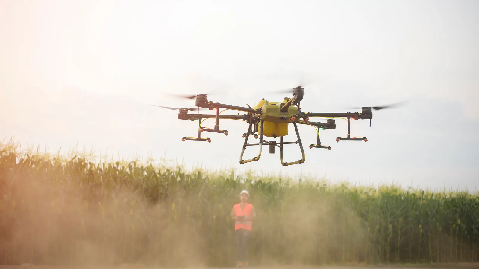 An unbranded agricultural spray drone hovering over a corn field, throwing up dust, with an operator in a hi-vis vest holding the controller below.